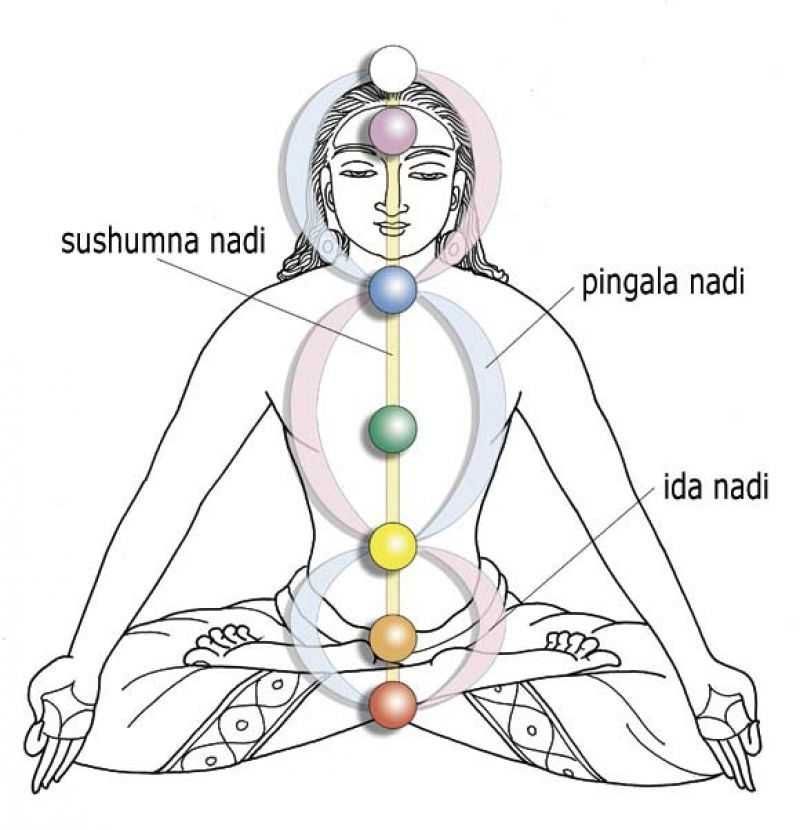 Yoga Nidra